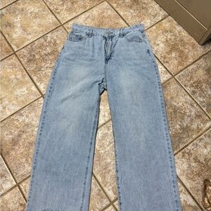 SHEIN Light Blue Denim Pants